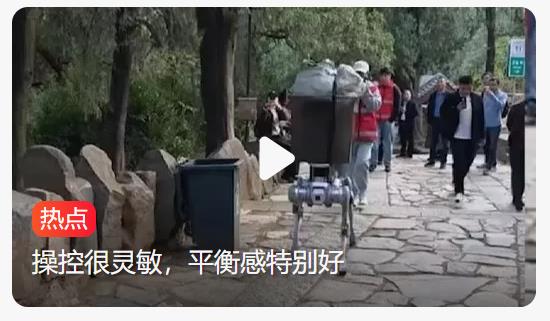 游客偶遇机器狗载重物爬泰山，骑上它，征服泰山不再是梦