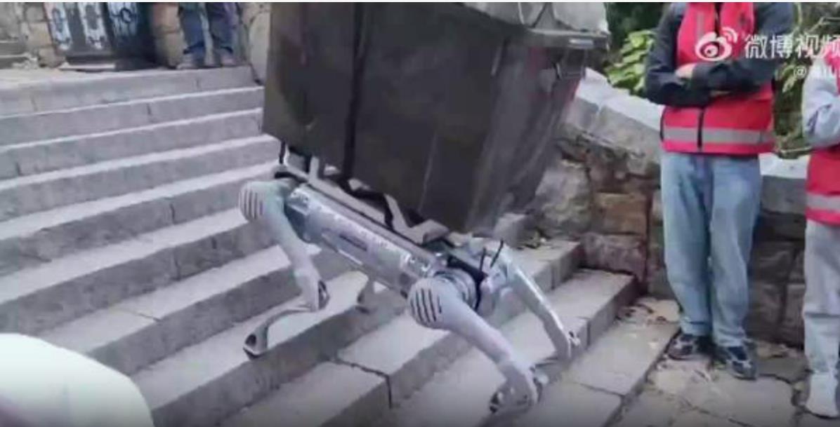 游客偶遇机器狗载重物爬泰山，骑上它，征服泰山不再是梦