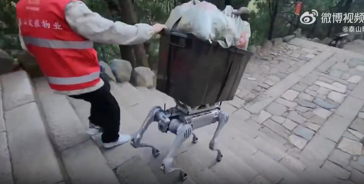 游客偶遇机器狗载重物爬泰山，骑上它，征服泰山不再是梦