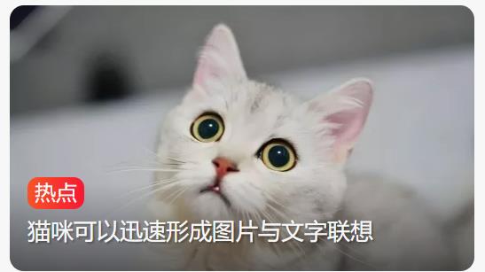 猫的图文关联能力超过人类婴儿？  根据最新的科学研究，我们惊讶地发现，猫的图文关联能力竟然超过了人类婴 ...
