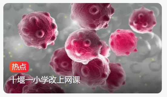 诺如病毒来势汹汹且进入高发期：多地学校紧急停课