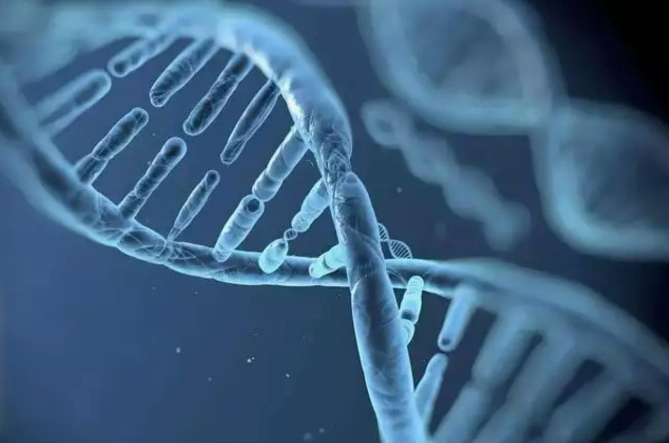 揭秘手背透露的长寿秘密：医生揭示四大长寿迹象