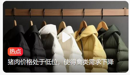 羽绒服价格上涨背后：竟与猪肉市场息息相关