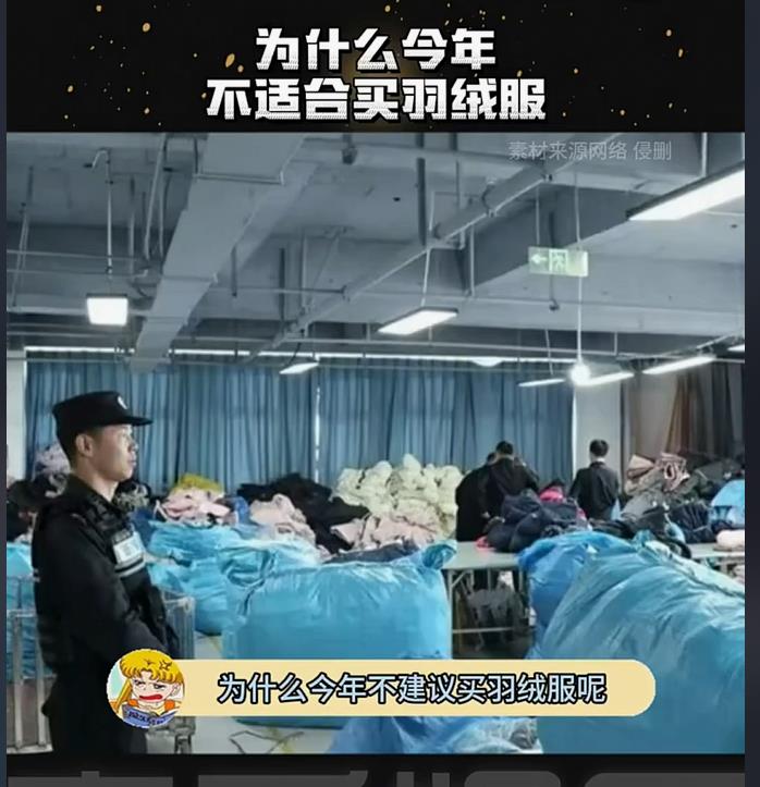 羽绒服价格上涨背后：竟与猪肉市场息息相关