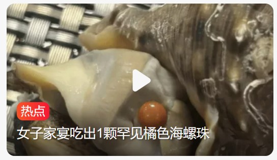 家宴惊喜！女子吃海螺意外收获罕见橘色“爱马仕”珍珠