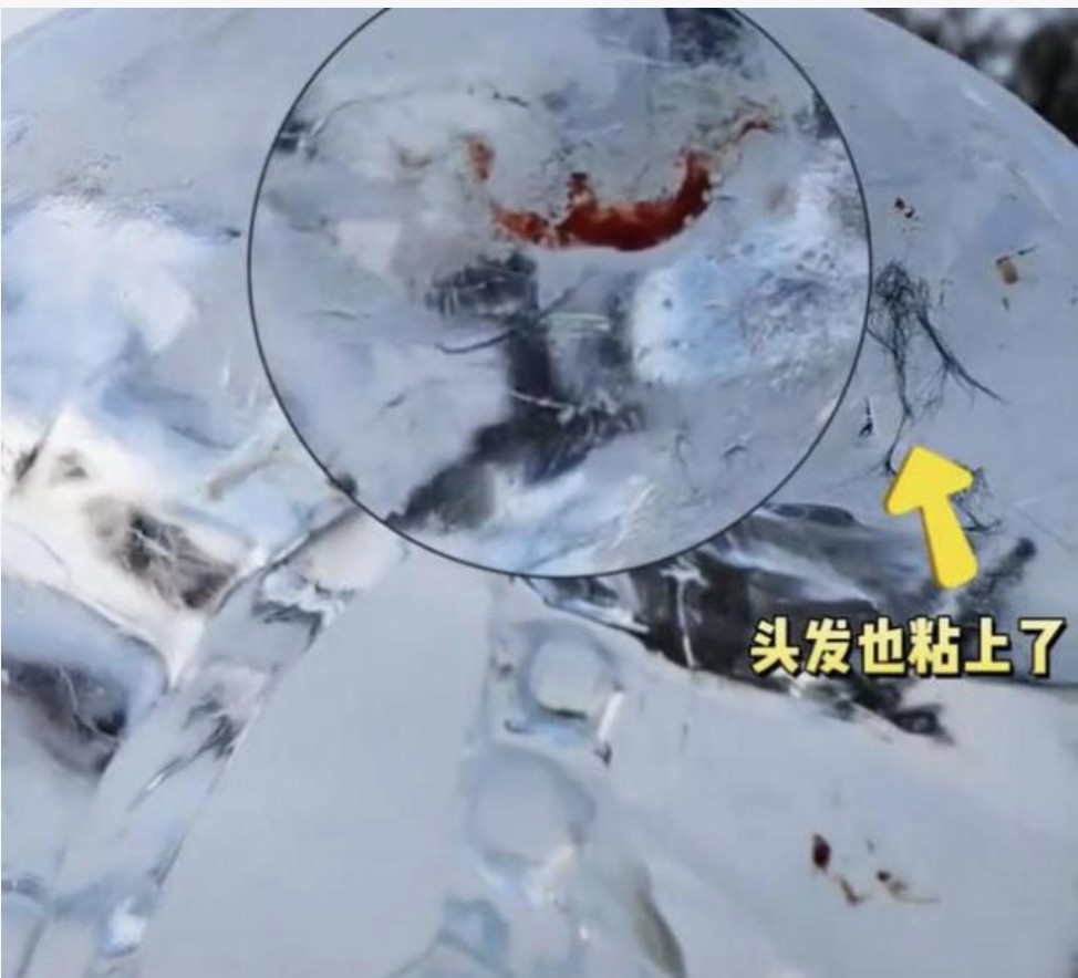 哈尔滨冰雕惊现密集血印，南方游客“不信邪”挑战极限