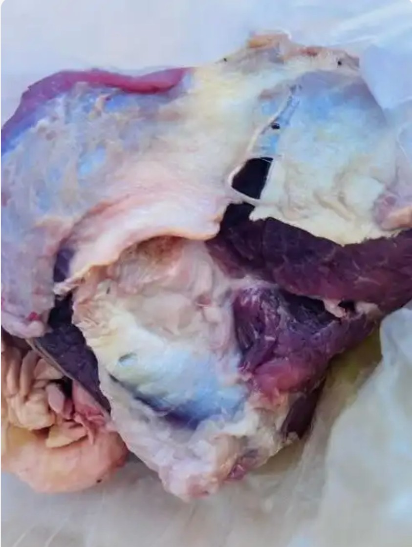 商家“挂羊头卖狗肉升级版”：挂牛尾卖猪肉，终被罚16万