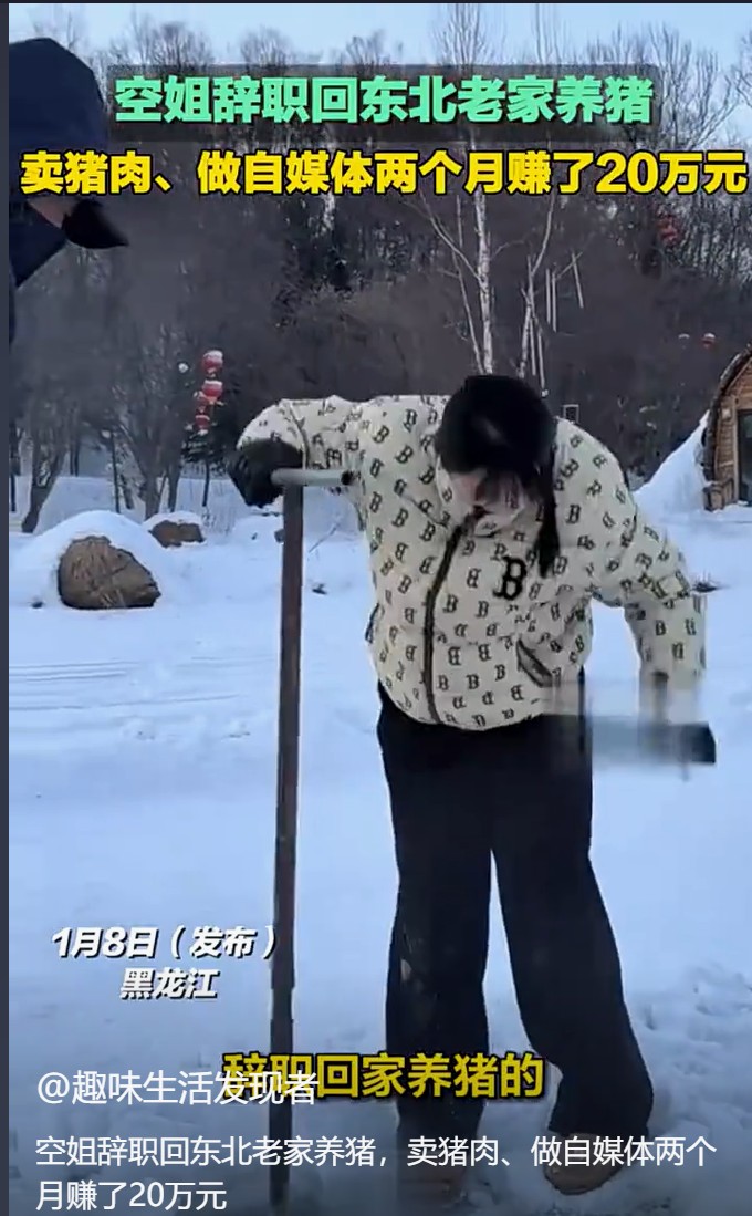 辞职空姐转型养猪大户，笑称自己被腌制成“猪场味女孩”