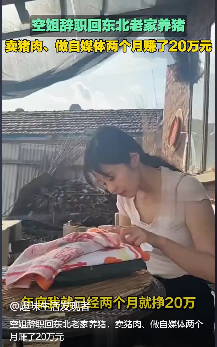 辞职空姐转型养猪大户，笑称自己被腌制成“猪场味女孩”