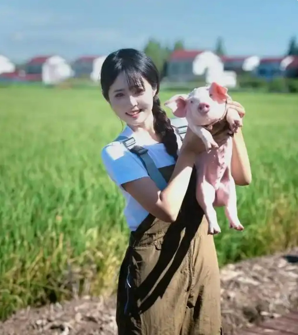 辞职空姐转型养猪大户，笑称自己被腌制成“猪场味女孩”