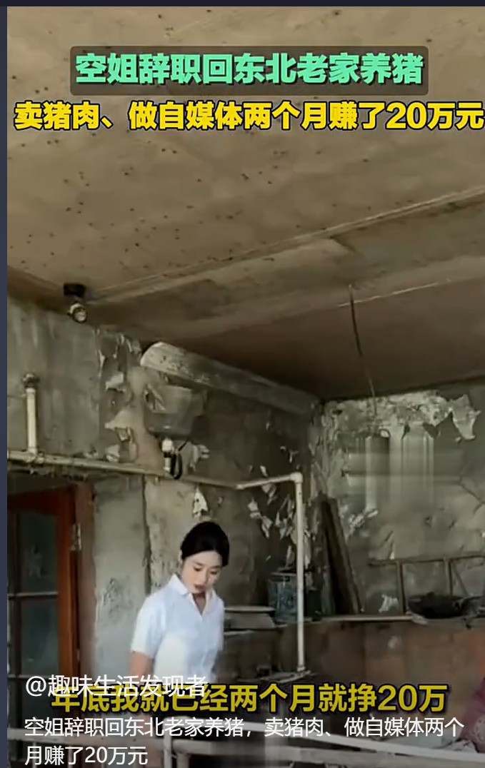 辞职空姐转型养猪大户，笑称自己被腌制成“猪场味女孩”