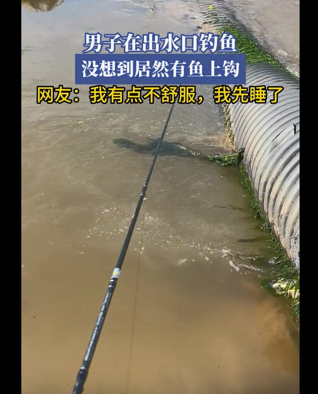 出水口钓鱼本想碰运气，男子意外钓起大鱼惊喜连连！