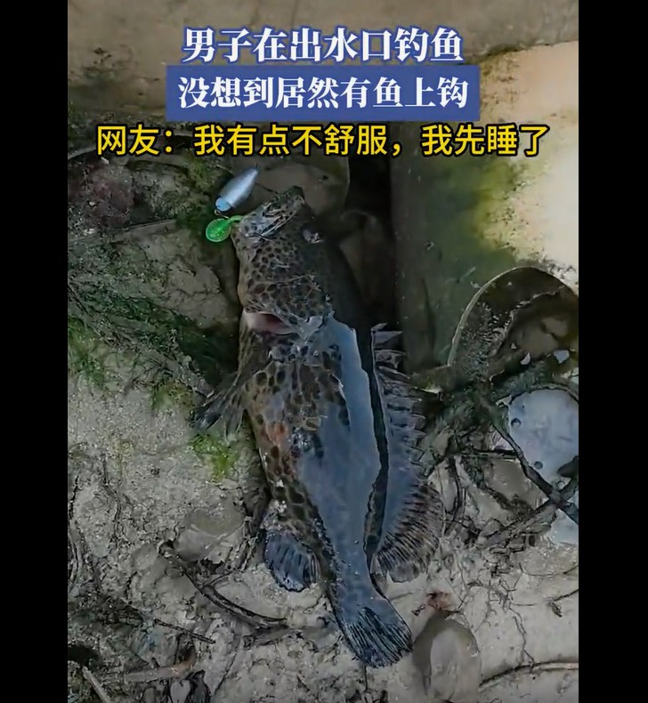 出水口钓鱼本想碰运气，男子意外钓起大鱼惊喜连连！