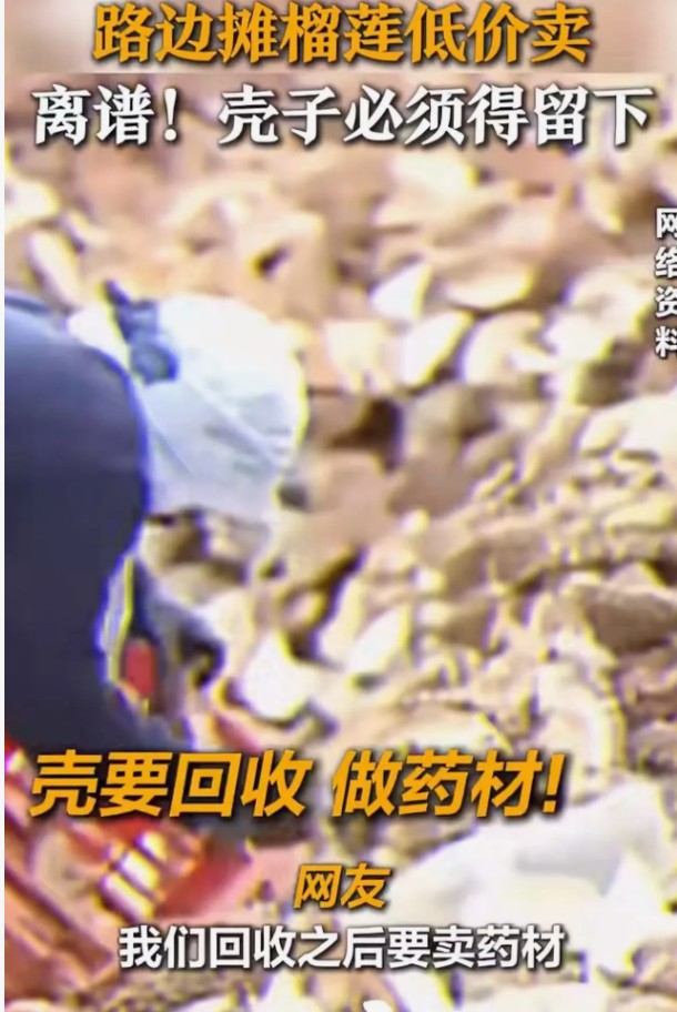 榴莲壳收回背后“鬼秤陷阱”：你以为捡便宜，实则被套路