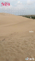 六元冰可乐-内蒙古游客在40℃沙海邂逅"生命之泉"