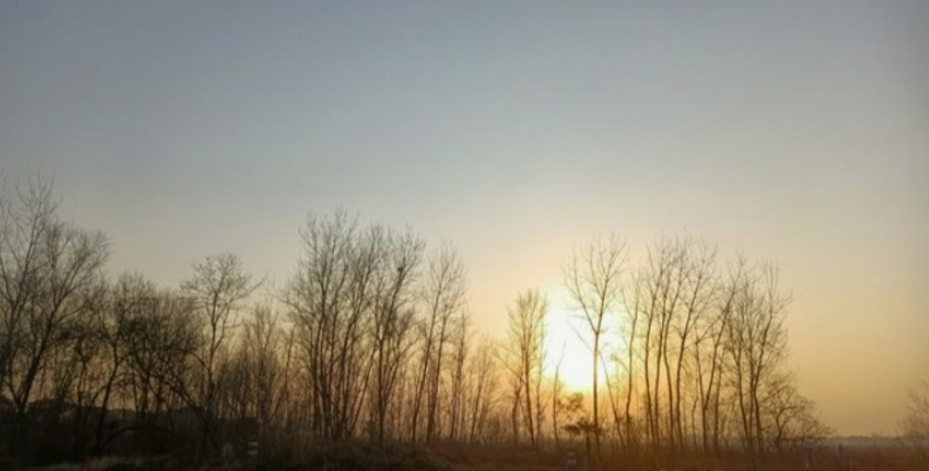 暮年寻伴大不同：女人偏爱静享时光，男人渴望温暖相伴