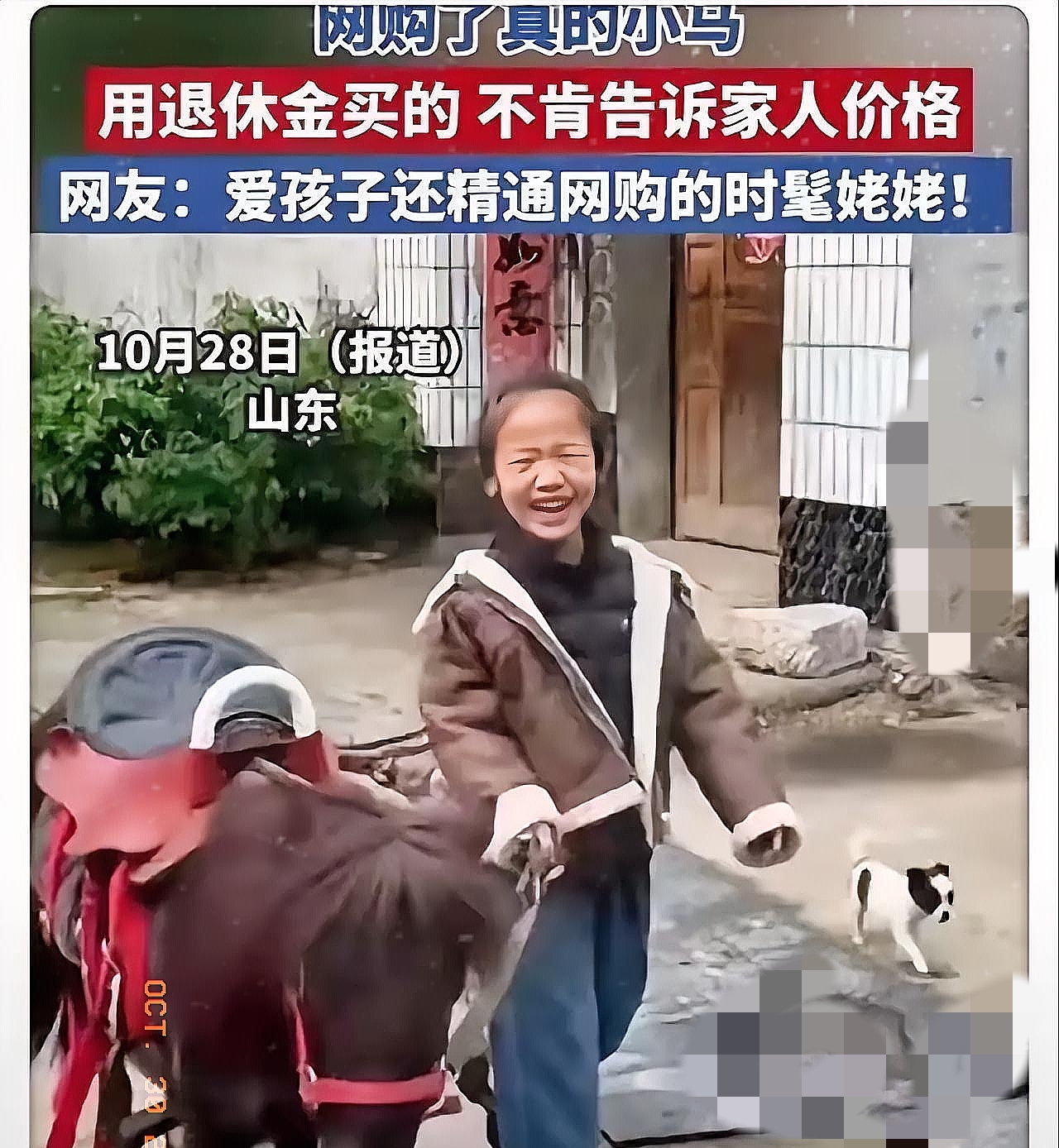 山东姥姥网购“神操作”，花5.6万给外孙女买小矮马引热议