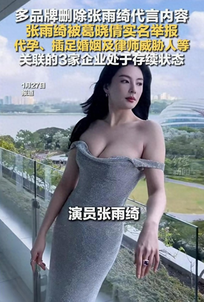 张雨绮深陷代孕举报风波，娱乐圈再掀惊涛骇浪