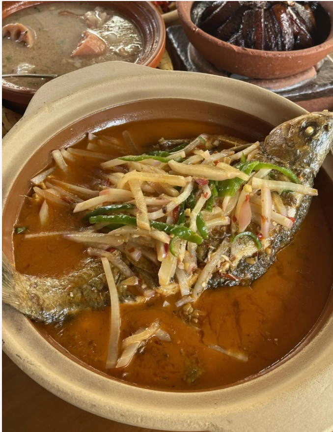 湖北菜杀疯啦！这省饭组合让我连干三碗，肥肉都香到舔碗底！  家人们谁懂啊！最近被湖北菜狠狠拿捏住了，直 ...